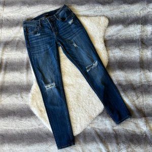 Vigoss Jagger Skinny Classic Fit Distressed Skinny Jeans